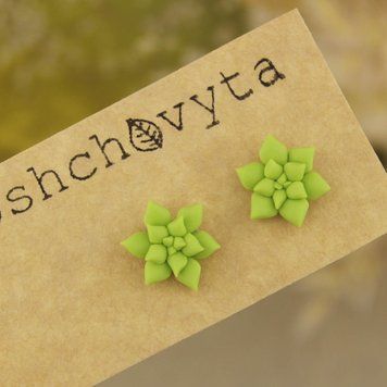 Сережки цвяшки з ніжно-зеленими сукулентами, менші 1163 фото
